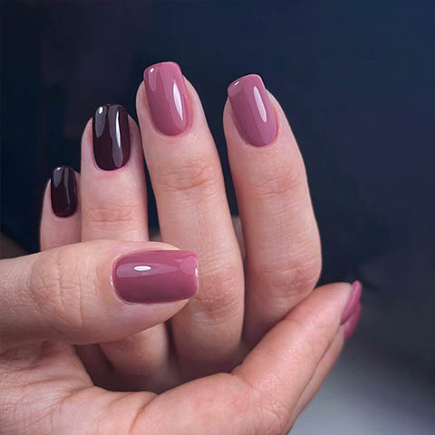 shellac nails Hove