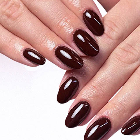 shellac nails Hove
